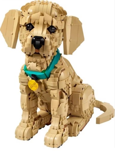 Golden retriever cucciolo - retriever,