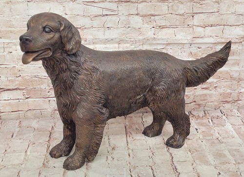 Cucciolo golden retriever - cucciolo, cane