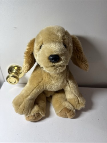 Beanie buddy fetch - beanie,
