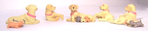 Madre golden retriever - madre,