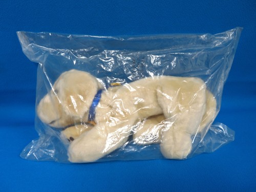 Golden labrador retriever - golden,