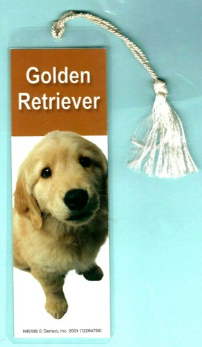 Yellow golden labrador - yellow,