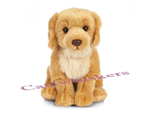 Peluche cucciolo golden - cucciolo,