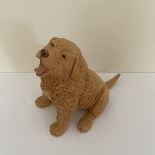 Country artists paw - artists,