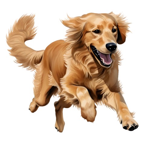 Adesivi golden retriever - adesivi,