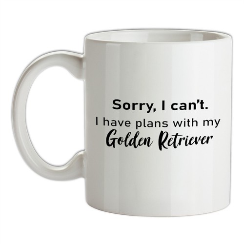 Hanno piani con golden - con,