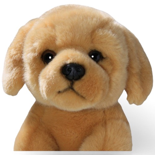 Carl dick golden retriever - dick,