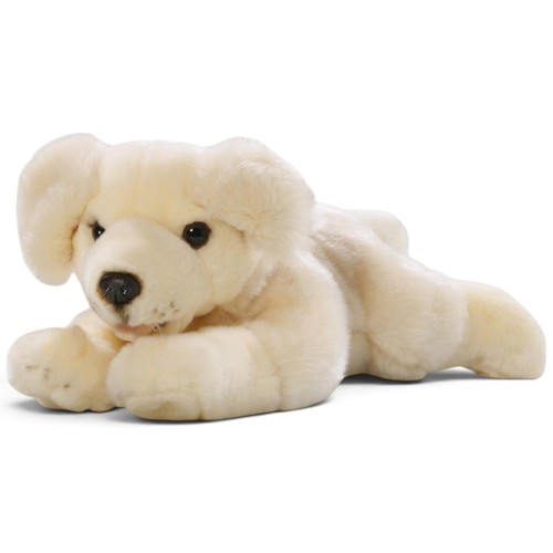 Carl dick golden retriever - golden,