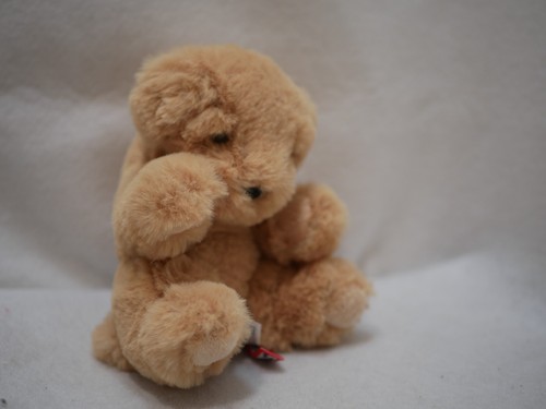Peluche cane cucciolo douglas - peluche,