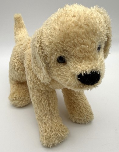 Douglas golden retriever - douglas,