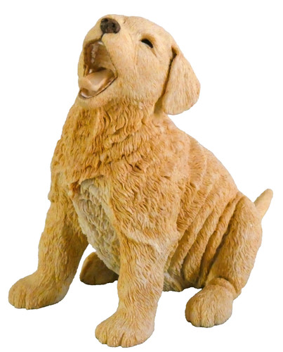 Golden retriever puppy paw - golden, by