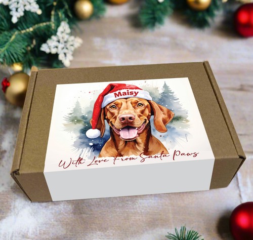 Qualsiasi razza cane - qualsiasi,