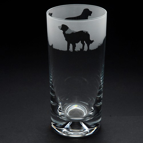Vetro highball per cani - highball, golden