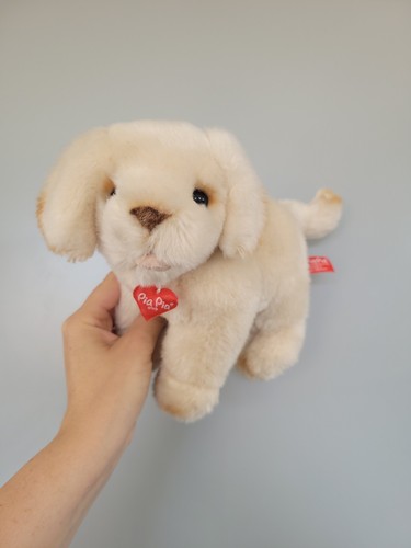 Pia club - golden, retriever