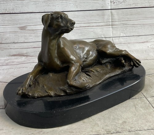 Golden retriever cucciolo - retriever, cane