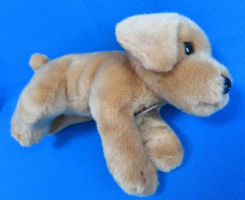Peluche golden labrador - golden,