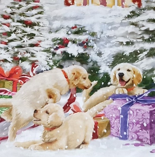 Biglietto natale - biglietto,