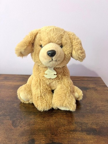 Histoire ours cane peluche - cane,