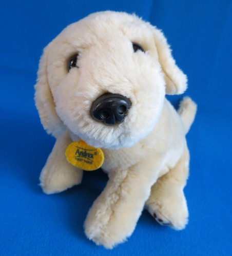 Golden labrador retriever - golden,