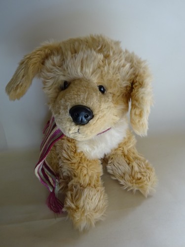 Peluche cane cucciolo - , golden
