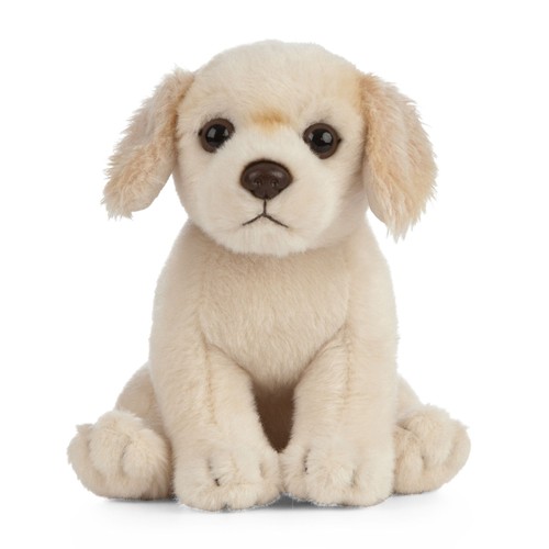 Peluche cane cucciolo golden - cane,